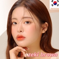 LENSME ZEKI BROWN 1 piece in 1 bottle  （cycle 3-6 months）contact lens,  korean  lens, lens