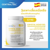 วุ้นคุณภาพสูงสำหรับเพาะเลี้ยงเนื้อเยื่อ (พืชเศรษฐกิจ)-Crystal Agar Gel (G190)