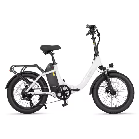 DYU C9 Adult Electric Bicycle, 20 Fat Tire Electric Bike electric bike 48V 15.6AH E-bike, 250W motor