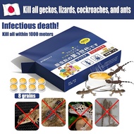 8 Pcs/Box bunuh cicak Umpan Gel Cicak Lizard Gecko Killer Insecticide Bait Gecko Killer Gel Bait Liz