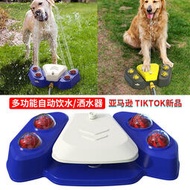 寵物用品爆款洗澡噴水玩具腳踩自動餵水器飲水機