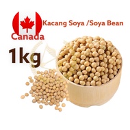 Kacang Soya/ Soya Bean / 黄豆  Premium Quality wholesale price
