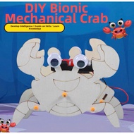Robot Ketam DIY Science Project