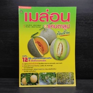 Melon & Cantaloupe Million-Apichat Srisada ️1098844