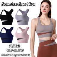 Latest Trends PushUp Sport Bra Tops for Women Yoga Gym Fitness Aerobics Sports Bra 888