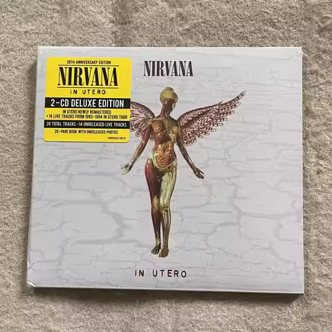Nirvana in Utero CD 30th Anniversary Edition Classic Grunge Rock Authentic Raw Sound Alternative Roc