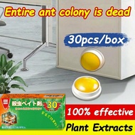 【Shopee TOP 1！Ant bait 】AG Ant killer bait Ant bait Semut racun Ant bait killer Racun semut berkesan