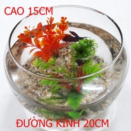 Medium Round Fish Tank HT2 20x20x15CM - Glass Desktop Aquarium [HT2]