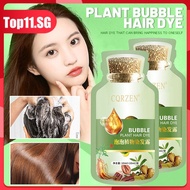 10pcs Cqrzen Bubble Hair Dye Shampoo Nourishes Hair Dye Cream (top11.sg.)