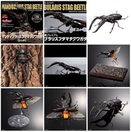 [預訂2026年3月] Bandai 扭旦/ 扭蛋 巨顎叉角鍬形蟲 (紅色) [GOL]THE DIVERSITY OF LIFE ON EARTH PREMIUM HEXARTHRIUS MANDI