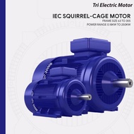 TRI ( IE2 ) 3hp ( 2.2kw ) x 4pole ( rpm1420 ) x 3phase Aluminium Foot Mounted B3 IP55 415v/50hz TRI 
