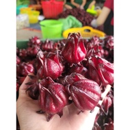 COMBO 5KG RED ATISO WITH SEEDS (delivery to the southern area only)