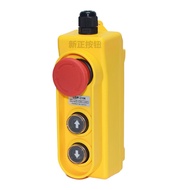 Waterproof button box control box: up, down, stop, rise, lower, emergency stop COP-21H Two control s