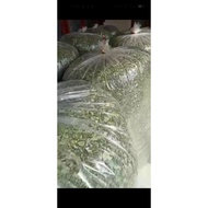 (BORONG)50KG/per guni DAUN MORINGA KERING/KELOR