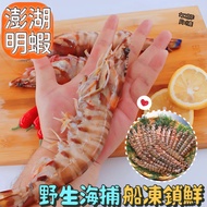 【加貝鮮水產】🧊冷凍野生明蝦營業用大尾大蝦對蝦4P5P6P