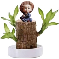 Brazilian Wood Plant Set, Brazilian Lucky Wood Plant with Panda Statue, Brazilian Wood Hydroponic Pl