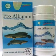Promo pro albumin kapsul ikan gabus original isi 60 kapsul Berkualitas
