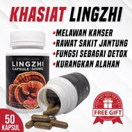 Bio Lingzhi Tablet 100% produk asli  Ganoderma Lucidum Organic Reishi Mushroom Cendawan Japan 正御堂灵芝破