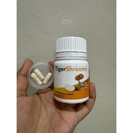 Tigershroom kapsul (cendawan susu harimau) membantu melegakan asma, batuk2 dll.