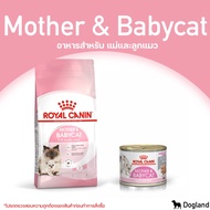 Royal Canin Mother &amp; Babycat อาหารสำหรับ แม่และลูกแมว