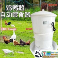 飼料桶養雞設備用品自動下料桶家禽餵食器雞鴨鵝用養殖加厚雞料桶餵食器餵水器飲水器喝水器