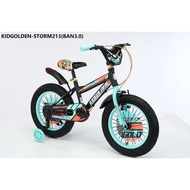 BMX Bike 16 Kidgolden storm 213 3.0 tires