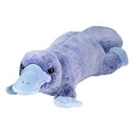 Allie Soft Platypus ตุ๊กตาตุ่นปากเป็ด อัลลี่