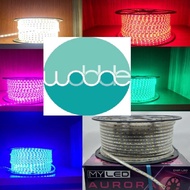 Latest stock of LED Ribbon Lights, LED Decorative Lights, LED Strip Hose Lights 5050
