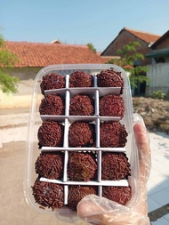 mochi isi 15 isi coklat topping ceres