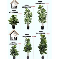 Pokok Ketapang Hiasan/Pokok Viral Fiddle Fig Artificial Plant /Fiddle fig Green White/Pokok Buluh/BA