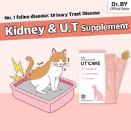 [Doctor By UT CARE] Urinary Tract Care Car Ciao Wet Food Treat Health Supplement (30sticks)