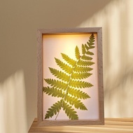 手作押花LED小夜燈 | 文創小夜燈 l 蕨 l 可調式小夜燈