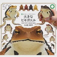 【日本正版授權】全套4款 NTC圖鑑 巨型蟾蜍 扭蛋/轉蛋 青蛙/牛蛙/動物模型 641834