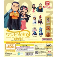 Gashapon Onepi No Mi Devil Fruit The Eleven Battle Vol.9