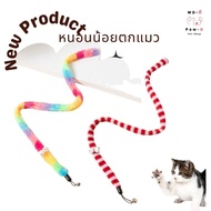 Paw-D Cat Teaser Worm
