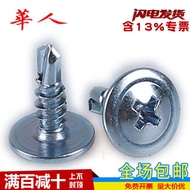 M4.2 M4.8 Galvanized Large Flat Head Drill Tail Screws/Tin Room Self-Tapping Self-Drilling/Washer He