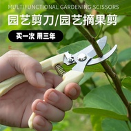 Gardening Pruning Shears Flower Shears Flower Shears Gardening Garden Shears Potted Plant Wedding Br