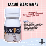 kapsul kucing sesak nafas sesak nafas pada kucing