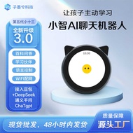 Xiaozhi ai Robot Thirteen Conversation Chat Accompanying Artificial Intelligence Bean Pack Voice Chi