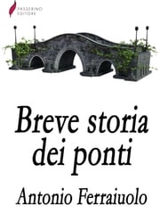 Breve storia dei ponti Antonio Ferraiuolo