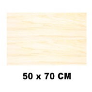 EELIC PKT-T4.8MM Plywood board with longpilihan 50x70, 50x80, 60x60, 60x70