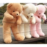 Teddy Bear Large Size Teddy Bear 1.6m Teddy Bear Hug Size Anak Patung Beruang Saiz Besar Beruang Bes