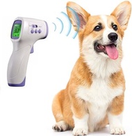 ❤️全城最抵❤️ DIKANG Cat and Dog Ear Temperature Monitor, 3 in 1 Pet Thermometer, Professional Farm or Ranches Animal Temperautre Monitor, Temperature Monitor for Chicken, Rabbit, Hamster, Bunny, Guinea Pig. HG03 狗貓 非接觸式 紅外線 溫度計 測溫器