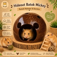 Mickey Hideout Shell Natural House Hamster, Dormice, Hiding Cave Gecko