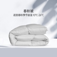 95% White Goose Down Quilt Temperature Controlled Duvet Winter Quilt Spring Quilts Thickened Quilt C