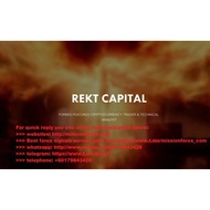 Rekt Capital - Alt Coin Investing (Total size: 3.78 GB Contains: 14 files)