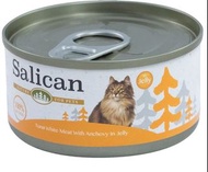 SALICAN 挪威森林- Tuna White Meat with Anchovy In Jelly 白肉吞拿魚+鯷魚啫喱貓罐頭 85g