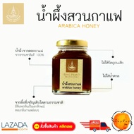 น้ำผึ้ง สวนกาแฟ โครงการหลวง น้ำผึ้งในสวนกาแฟ  น้ำผึ้งดอกกาแฟอาราบิก้า เพื่อสุขภาพและความงาม น้ำผึ้งแ