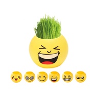 Pot Bunga Emoji Lucu Bibit Mini Motif Emoticon Dekorasi Rumah Tanaman Hias Rumput TWC Store