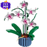 Orchid Flower Bouquet 10311 Plant Decor Building Set for Adults  Build An Orchid Display Piece for T